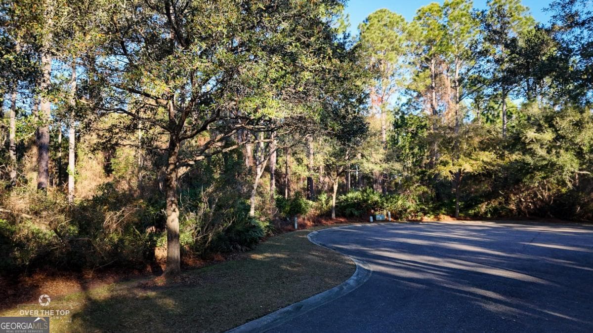 residential lot for sale at V/L 176 Gamefish Lane, St. Marys, GA 31558 — photo 3