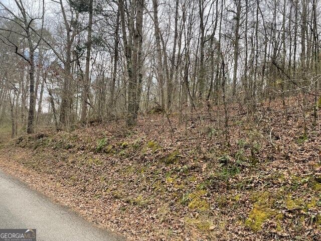 unimproved land for sale at 0 Wooten Lane, Chickamauga, GA 30707 — photo 2