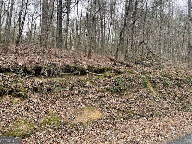 unimproved land for sale at 0 Wooten Lane, Chickamauga, GA 30707 — photo 6