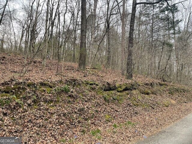 unimproved land for sale at 0 Wooten Lane, Chickamauga, GA 30707 — photo 7