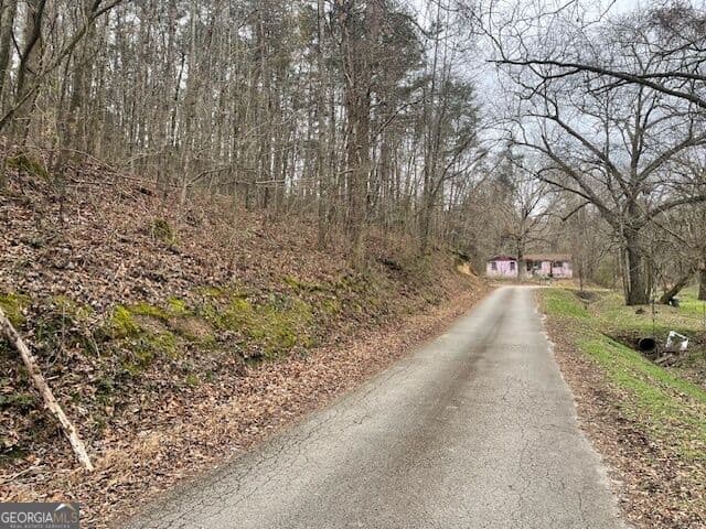 unimproved land for sale at 0 Wooten Lane, Chickamauga, GA 30707 — photo 3