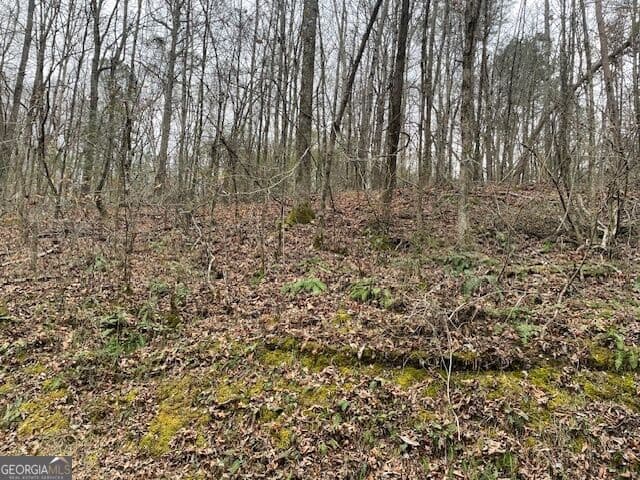 unimproved land for sale at 0 Wooten Lane, Chickamauga, GA 30707 — photo 5