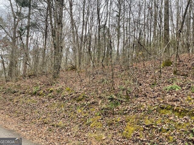 unimproved land for sale at 0 Wooten Lane, Chickamauga, GA 30707 — photo 4
