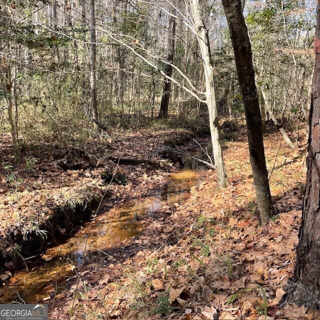 unimproved land for sale at LOT B Pineville Road 100+/- ACRES, Buena Vista, GA 31803 — photo 2