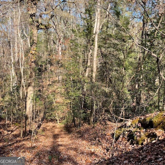 unimproved land for sale at LOT B Pineville Road 100+/- ACRES, Buena Vista, GA 31803 — photo 6