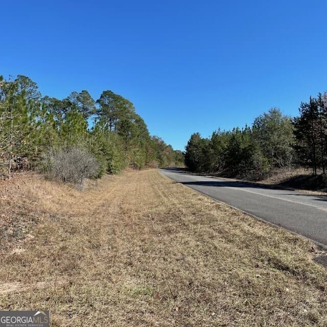 unimproved land for sale at LOT B Pineville Road 100+/- ACRES, Buena Vista, GA 31803 — photo 7