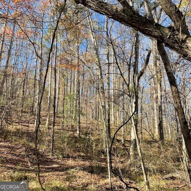 unimproved land for sale at LOT B Pineville Road 100+/- ACRES, Buena Vista, GA 31803 — photo 3