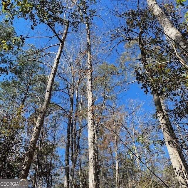 unimproved land for sale at LOT B Pineville Road 100+/- ACRES, Buena Vista, GA 31803 — photo 1 of 10