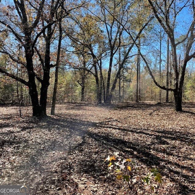 unimproved land for sale at LOT B Pineville Road 100+/- ACRES, Buena Vista, GA 31803 — photo 5