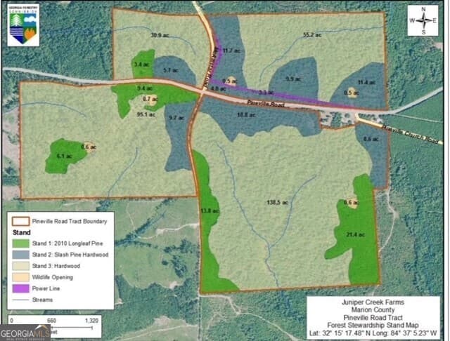 unimproved land for sale at LOT B Pineville Road 100+/- ACRES, Buena Vista, GA 31803 — photo 10