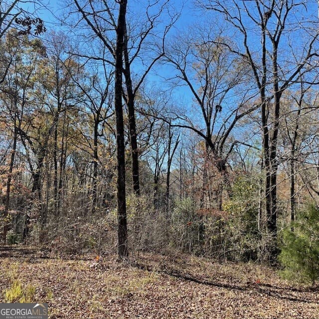 unimproved land for sale at LOT B Pineville Road 100+/- ACRES, Buena Vista, GA 31803 — photo 4