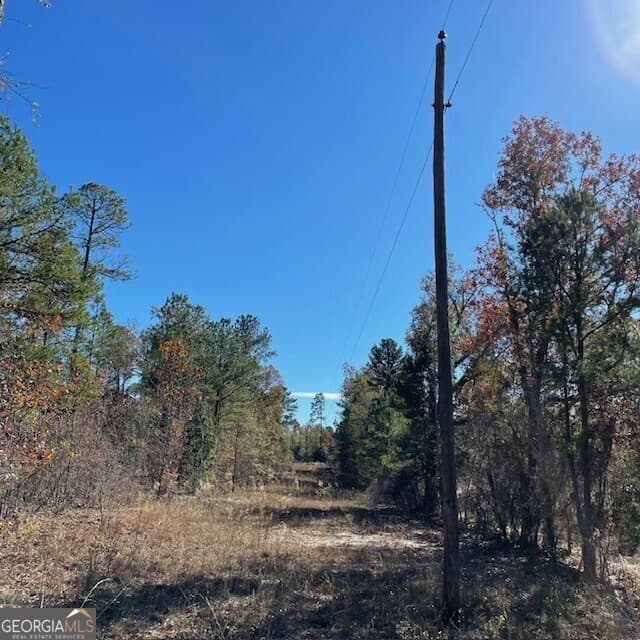 unimproved land for sale at LOT B Pineville Road 100+/- ACRES, Buena Vista, GA 31803 — photo 8