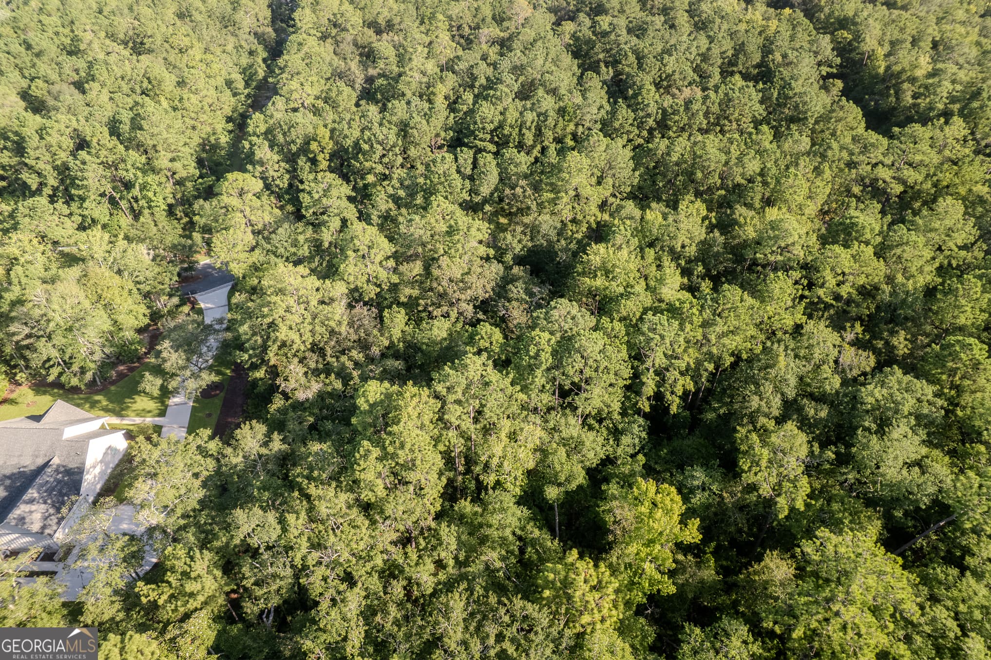 residential lot for sale at LOT 134 Canoe Run, Woodbine, GA 31569 — photo 7