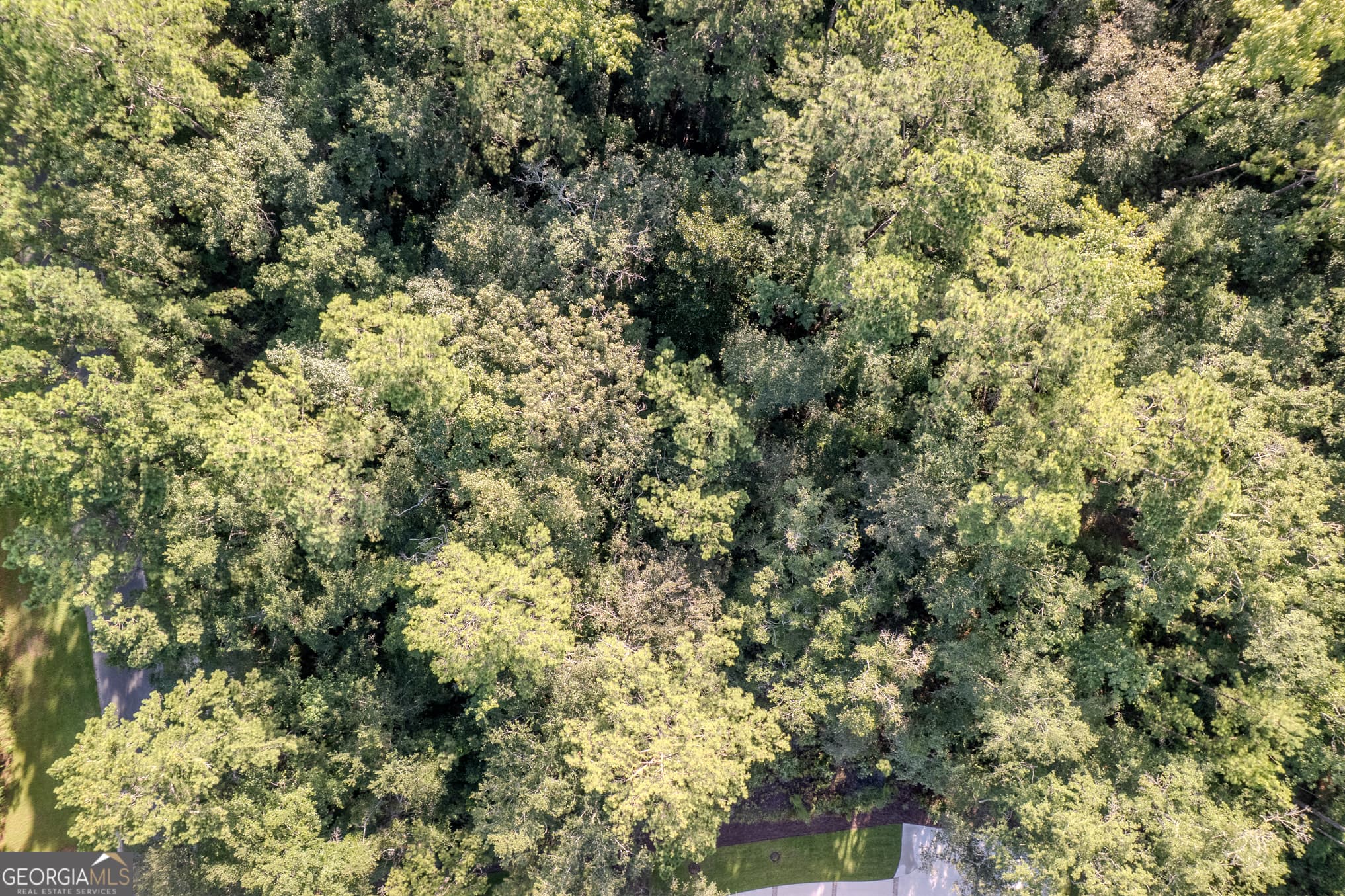 residential lot for sale at LOT 134 Canoe Run, Woodbine, GA 31569 — photo 5