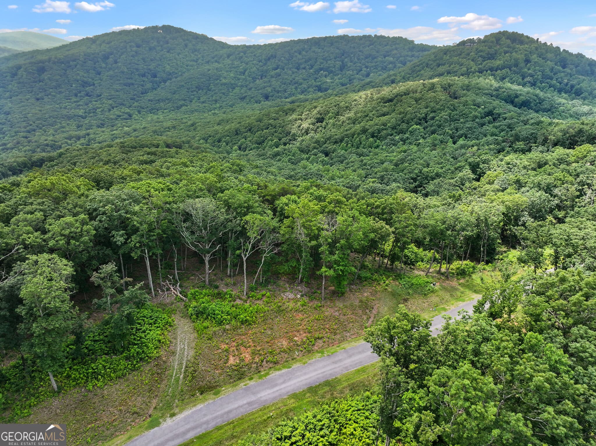 residential lot for sale at LOT 53 High Summit Drive, Talking Rock, GA 30175 — photo 5