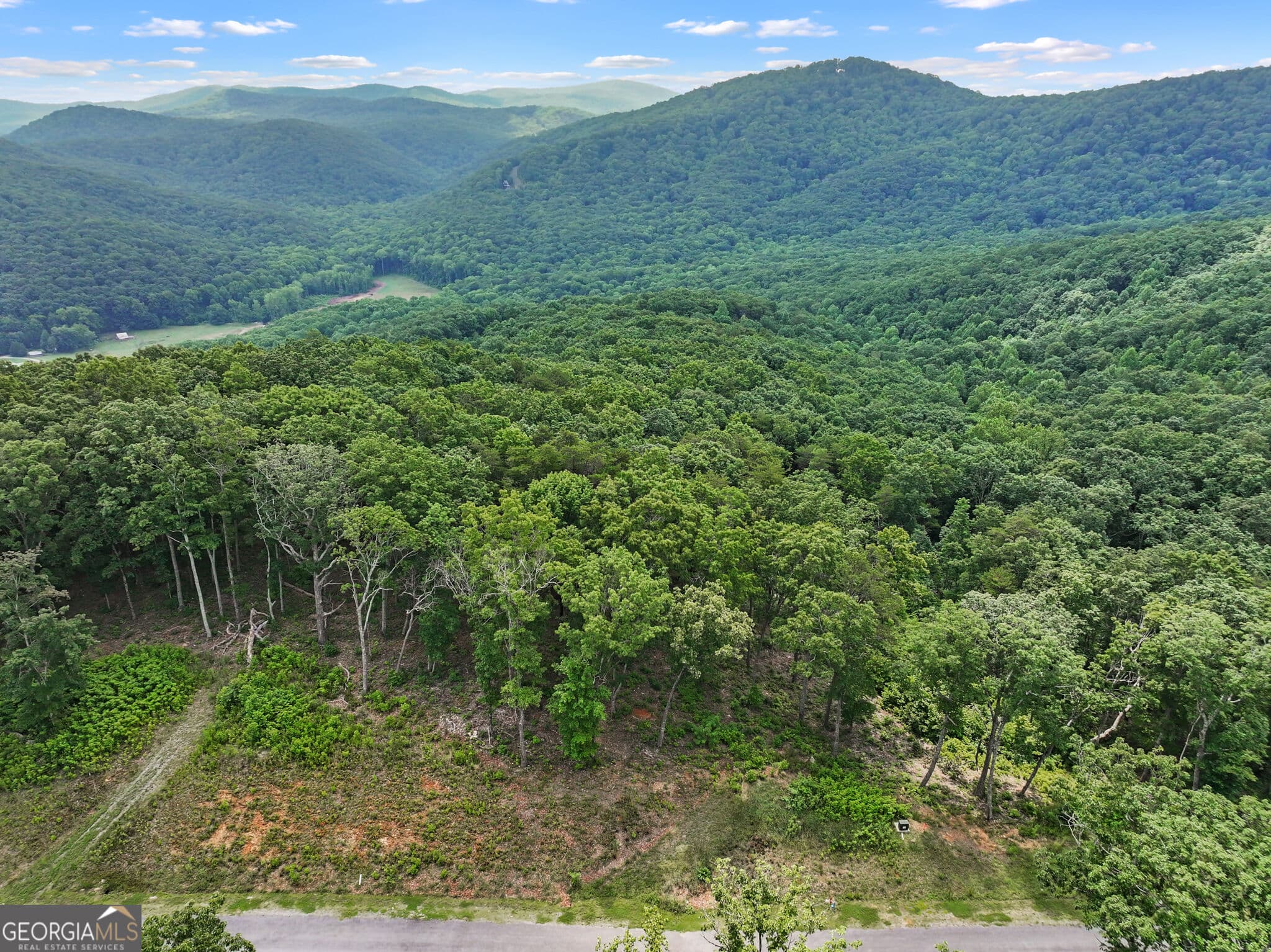 residential lot for sale at LOT 53 High Summit Drive, Talking Rock, GA 30175 — photo 9