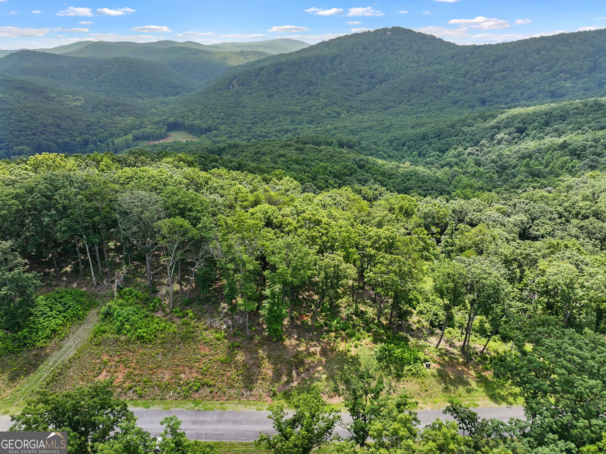 residential lot for sale at LOT 53 High Summit Drive, Talking Rock, GA 30175 — photo 10