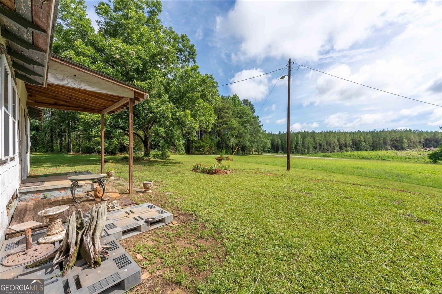 agriculture for sale at 3328 Lundberg Road, Washington, GA 30673 — photo 4