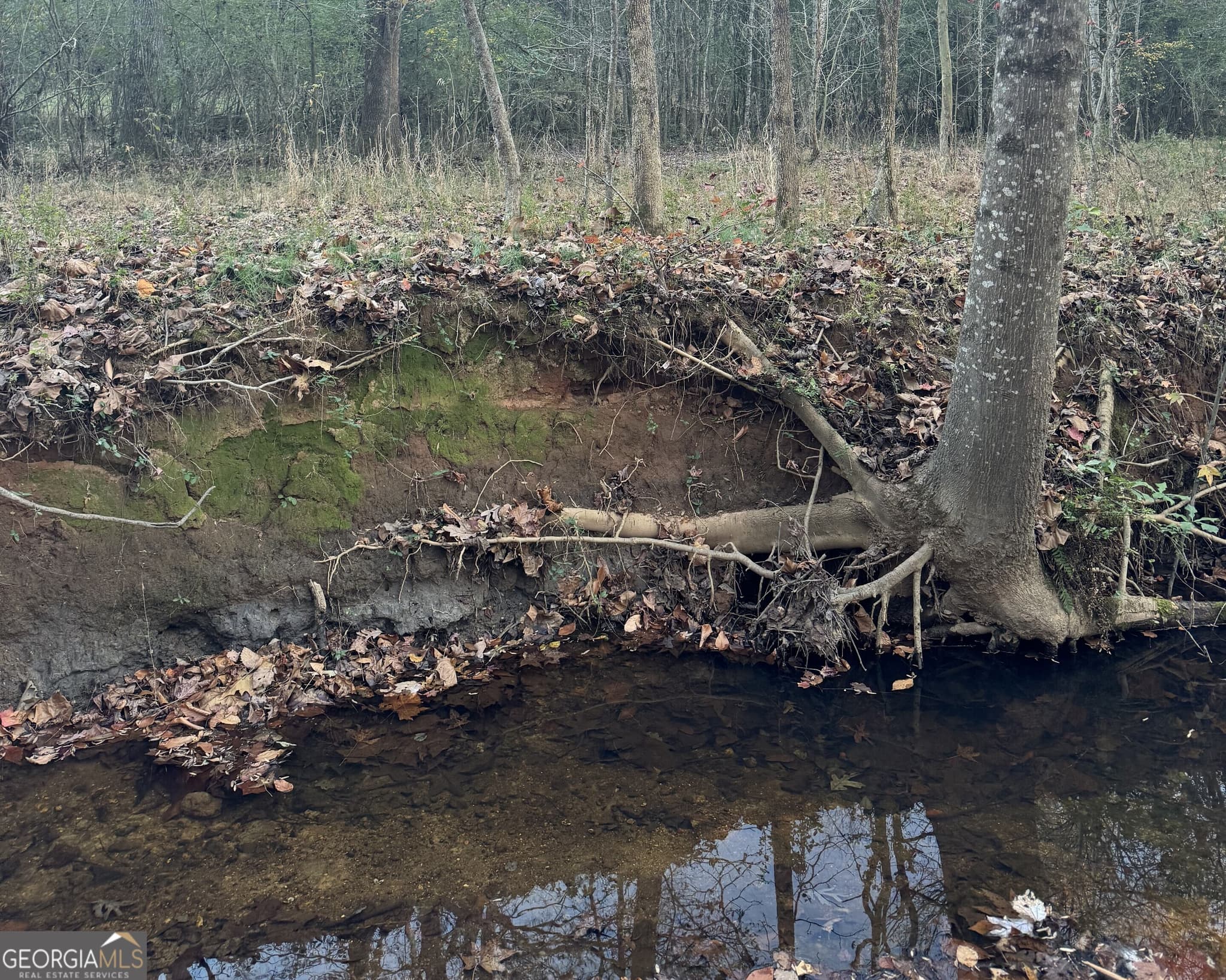 estate lot for sale at 2050 Whispering Way, Statham, GA 30666 — photo 2