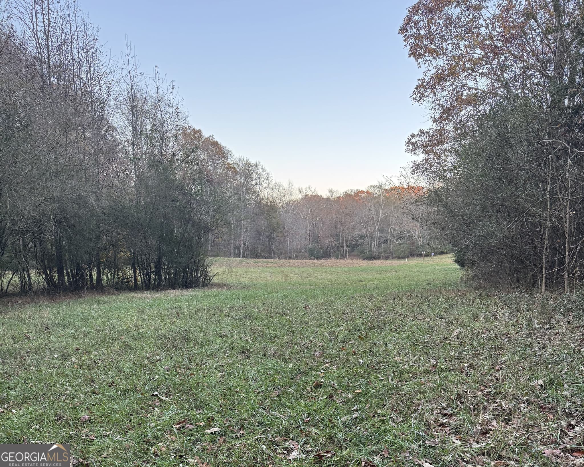 estate lot for sale at 2050 Whispering Way, Statham, GA 30666 — photo 6