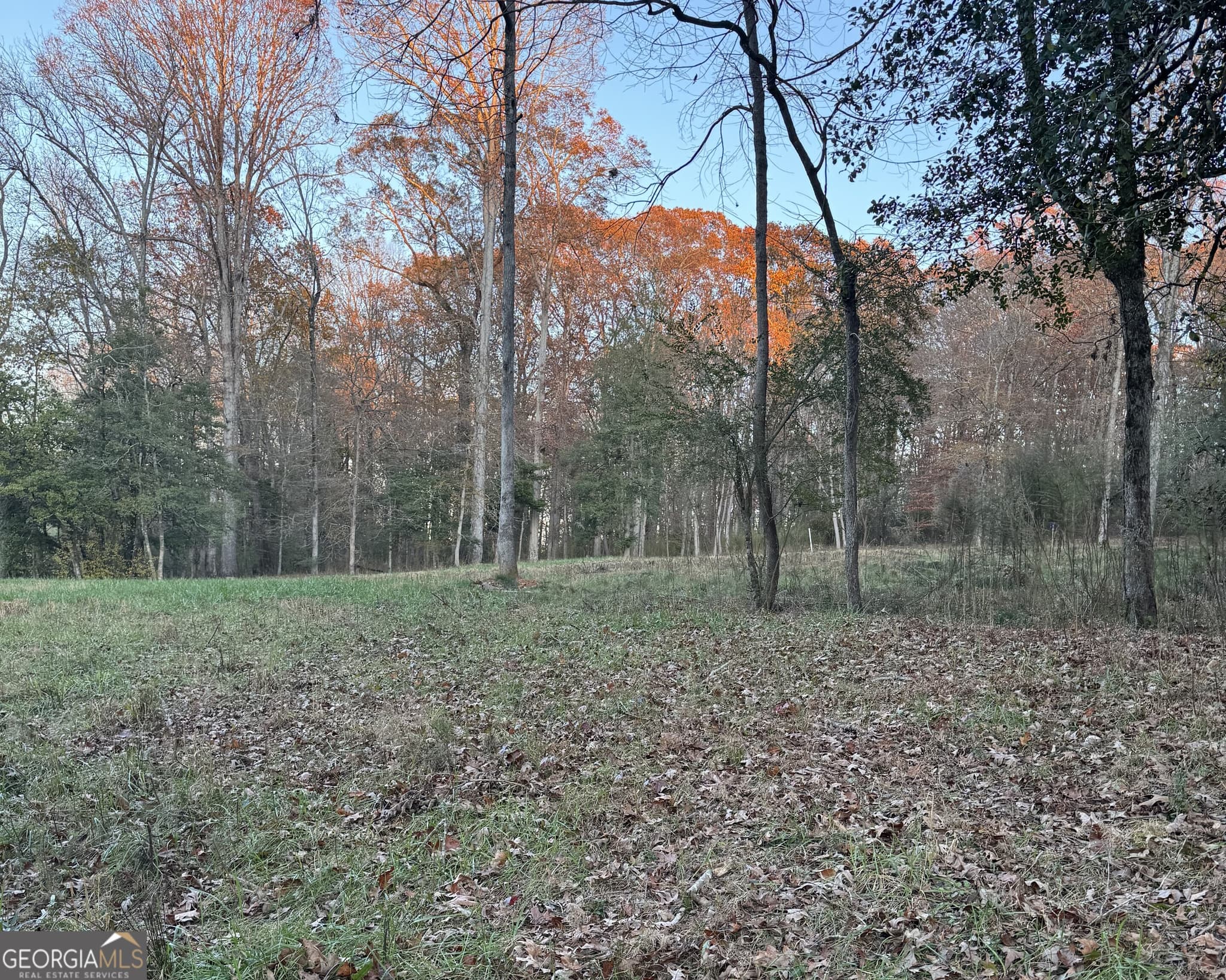 estate lot for sale at 2050 Whispering Way, Statham, GA 30666 — photo 7