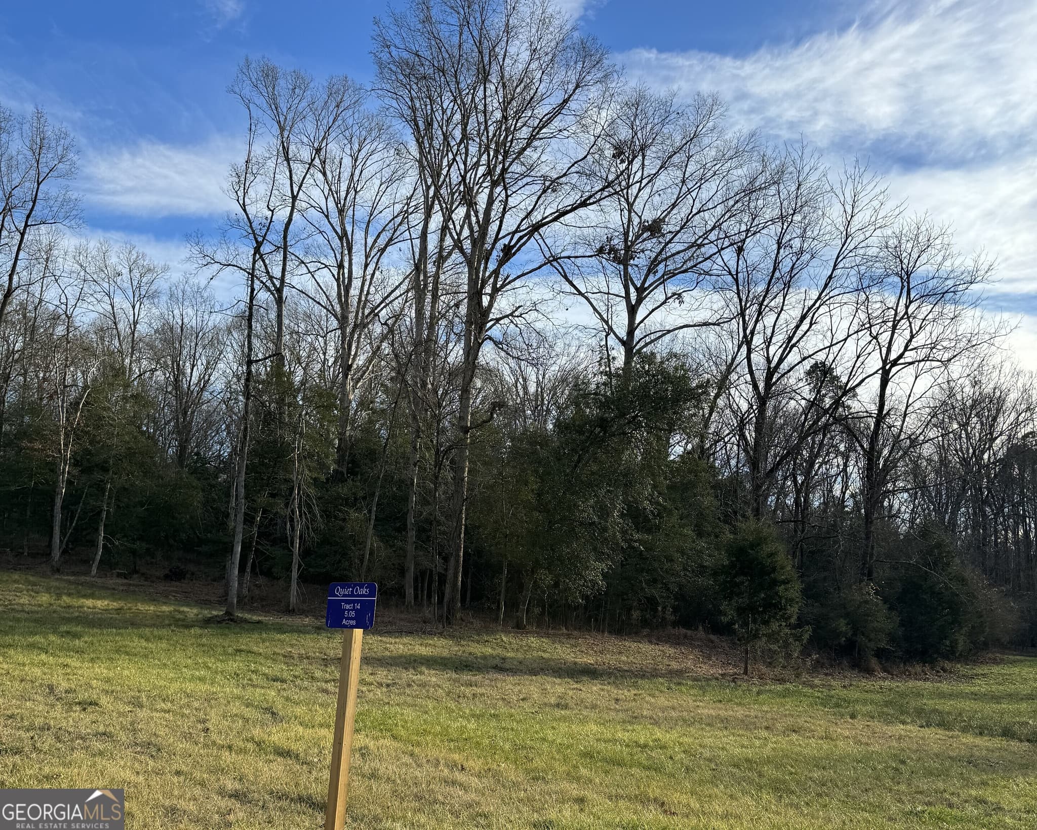 estate lot for sale at 2050 Whispering Way, Statham, GA 30666 — photo 3