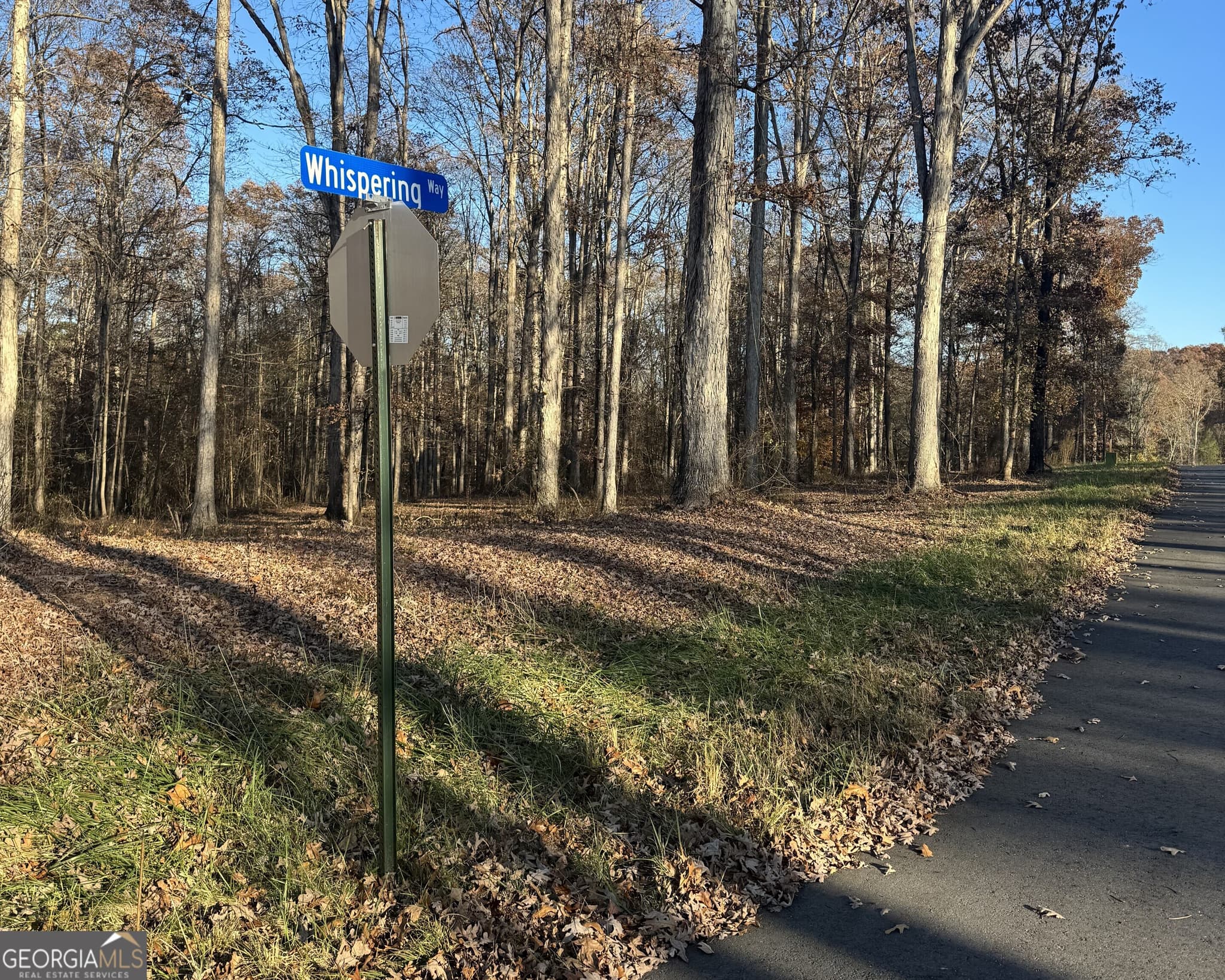 estate lot for sale at 2050 Whispering Way, Statham, GA 30666 — photo 9