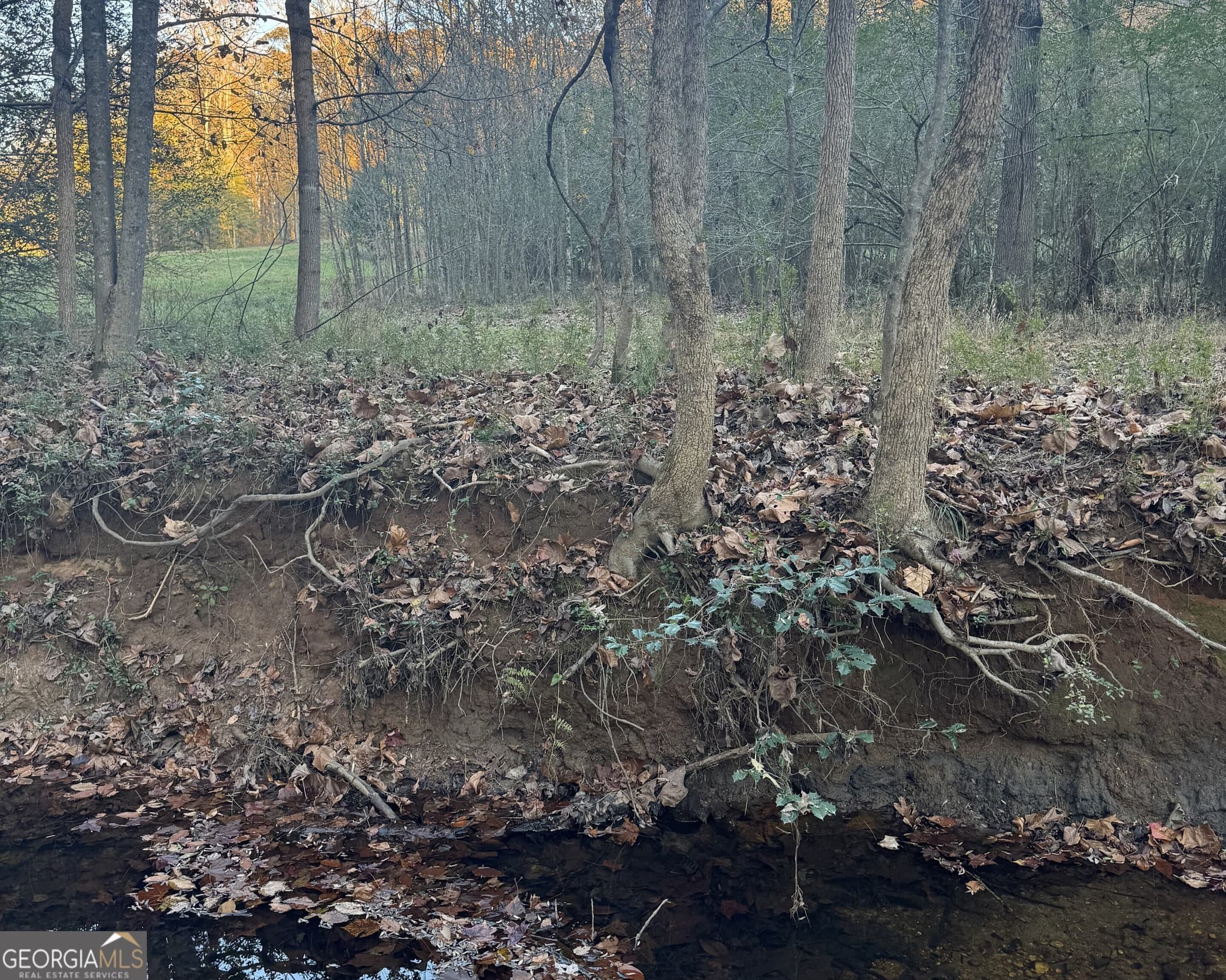 estate lot for sale at 2050 Whispering Way, Statham, GA 30666 — photo 8