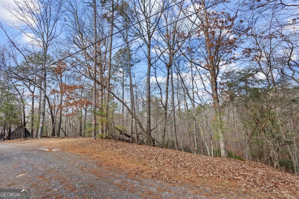 residential lot for sale at 0 Omen Court, Ellijay, GA 30540 — photo 2