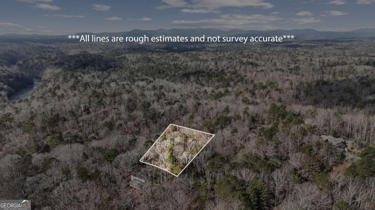 residential lot for sale at 0 Omen Court, Ellijay, GA 30540 — photo 7