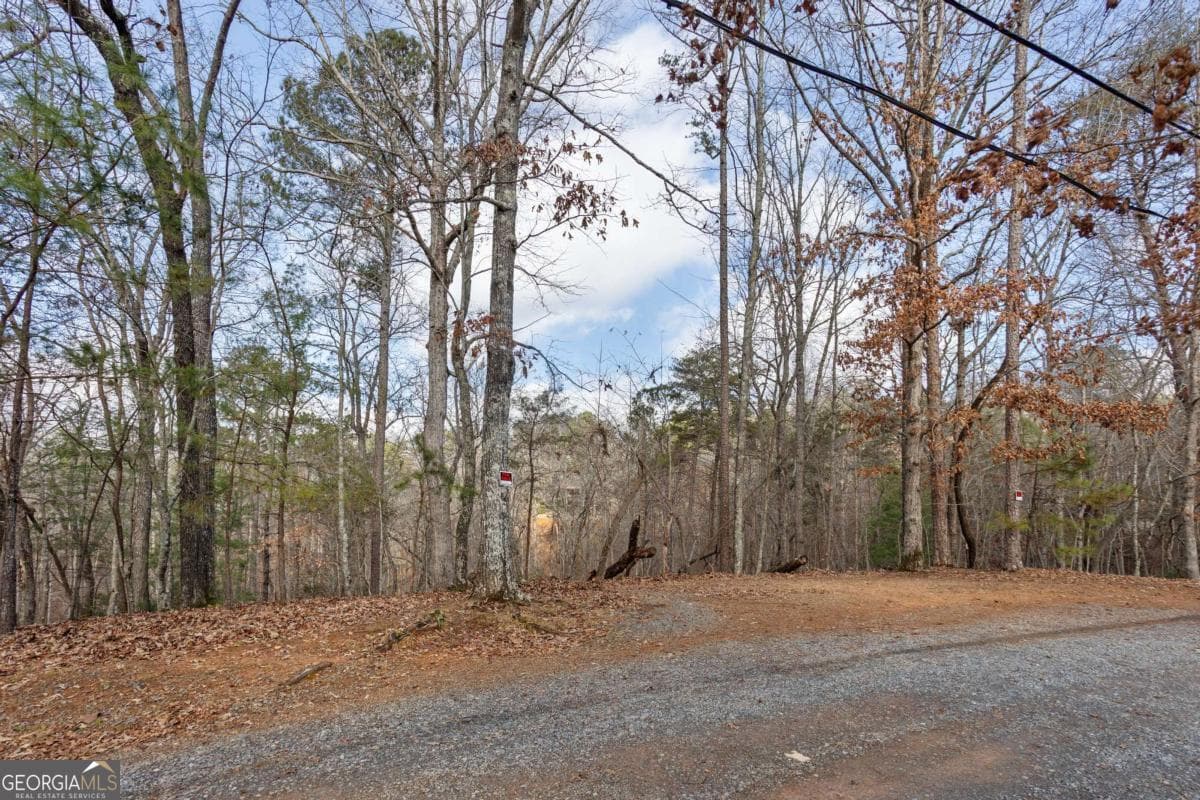 residential lot for sale at 0 Omen Court, Ellijay, GA 30540 — photo 3