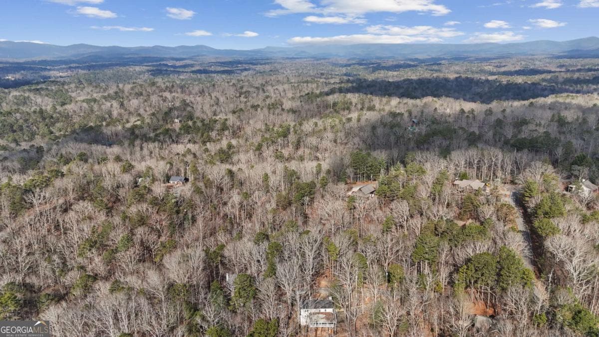 residential lot for sale at 0 Omen Court, Ellijay, GA 30540 — photo 1 of 36