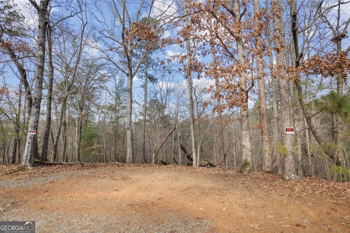 residential lot for sale at 0 Omen Court, Ellijay, GA 30540 — photo 5