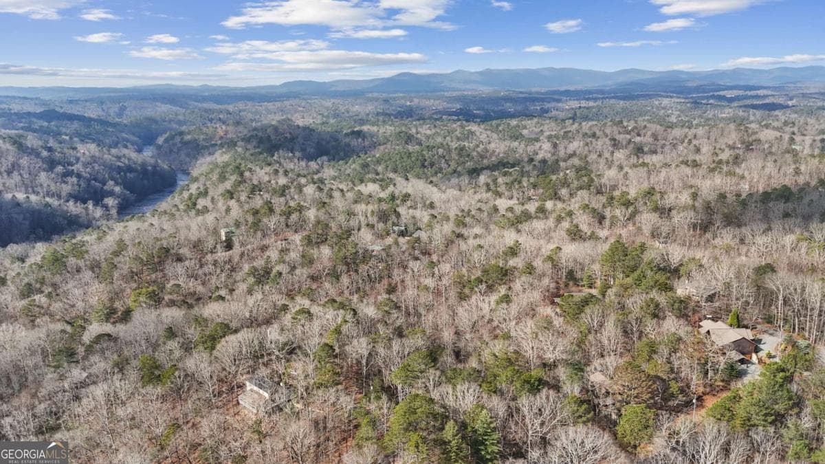 residential lot for sale at 0 Omen Court, Ellijay, GA 30540 — photo 9
