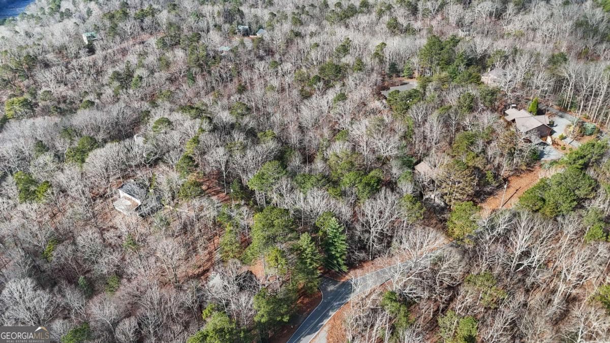 residential lot for sale at 0 Omen Court, Ellijay, GA 30540 — photo 10