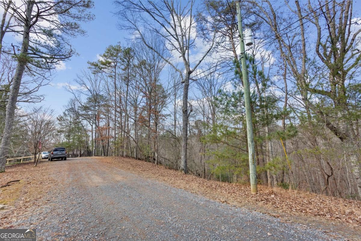 residential lot for sale at 0 Omen Court, Ellijay, GA 30540 — photo 4