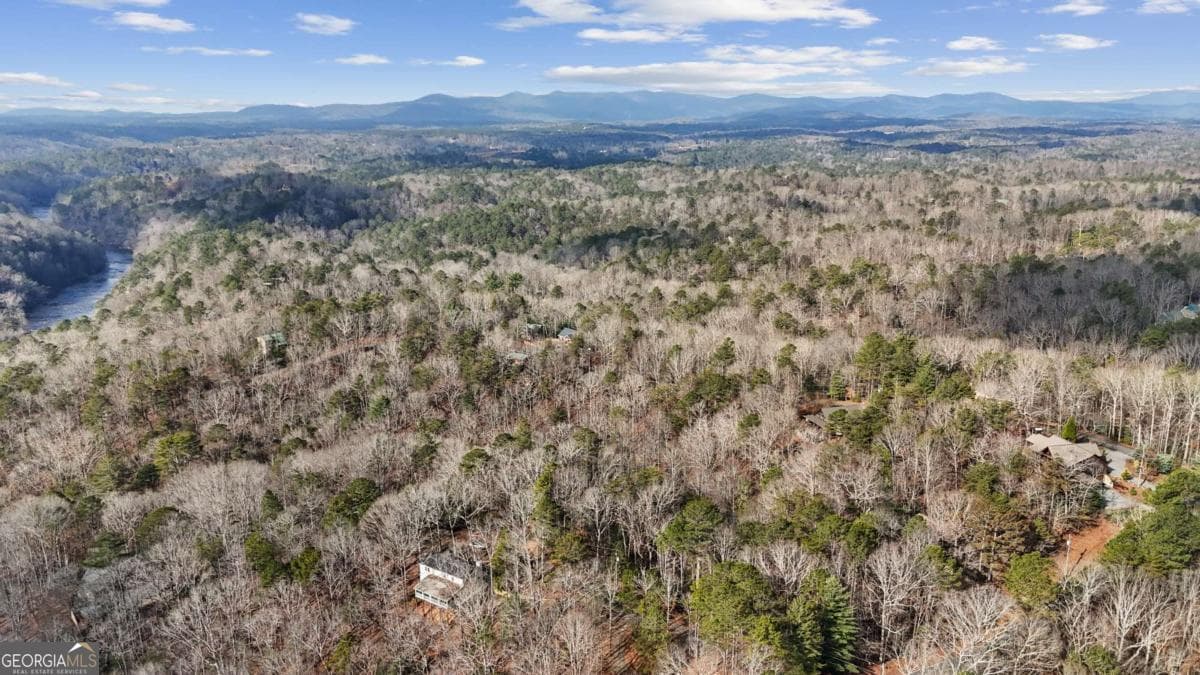 residential lot for sale at 0 Omen Court, Ellijay, GA 30540 — photo 8