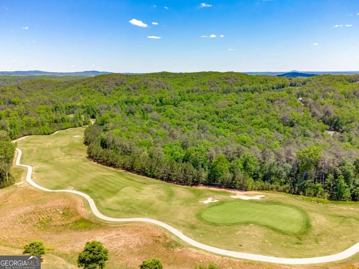residential lot for sale at 149 Dogwood Court, Waleska, GA 30183 — photo 9
