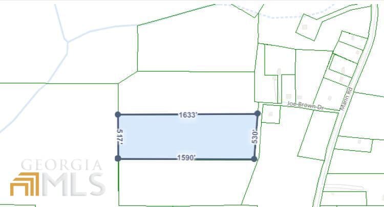 agriculture for sale at 0 LOT 107 Joe Brown Drive, Shiloh, GA 31826 — photo 3