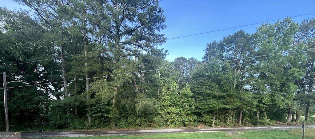 residential lot for sale at 0 Williams Street, Woodland, AL 36280 — photo 2