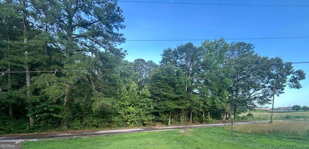 residential lot for sale at 0 Williams Street, Woodland, AL 36280 — photo 3