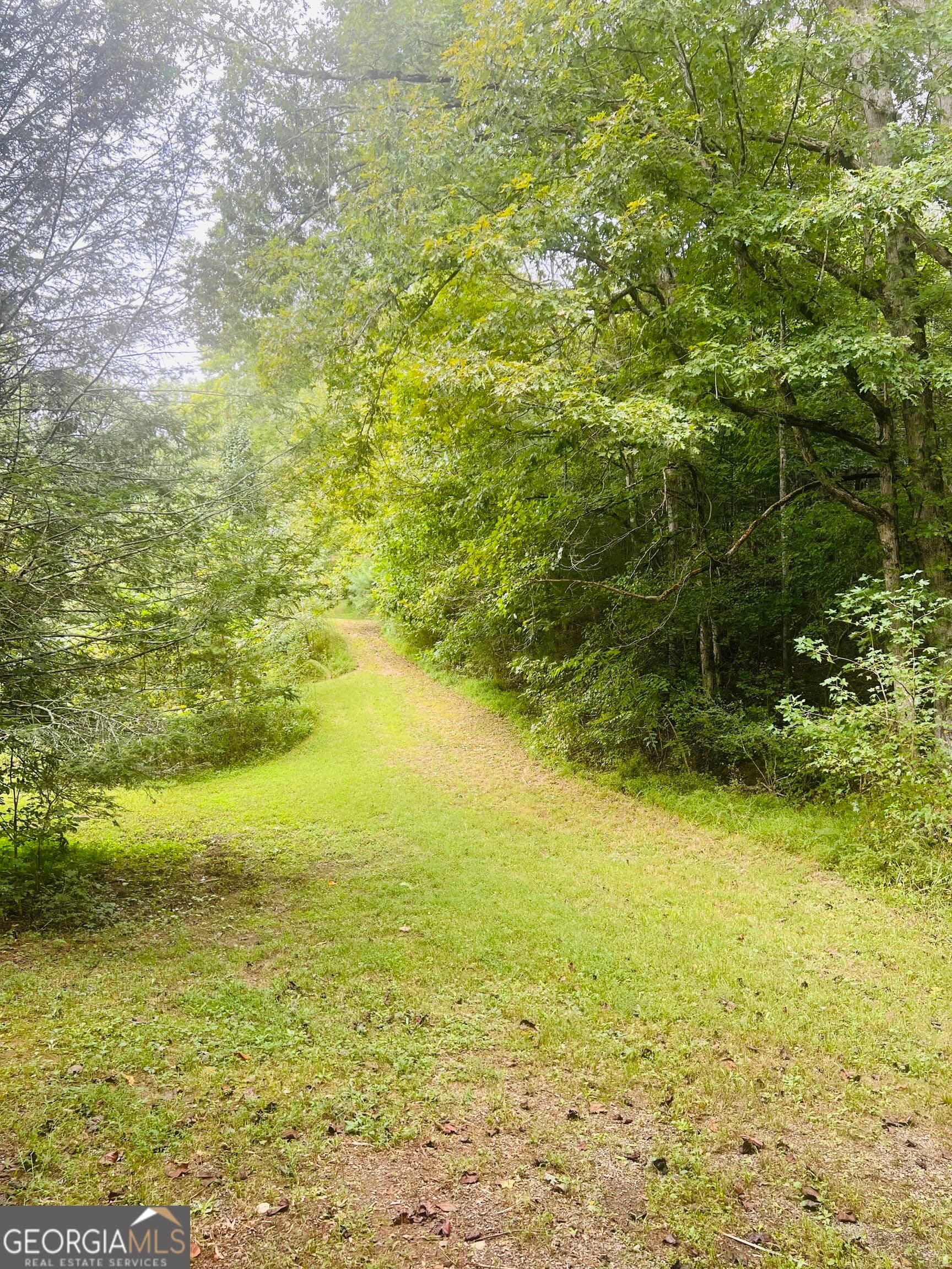 3 bedroom, 2 bathroom, 1,288 sq ft single family residence for sale at 14694 N Hwy 515, Ellijay, GA 30536 — photo 7