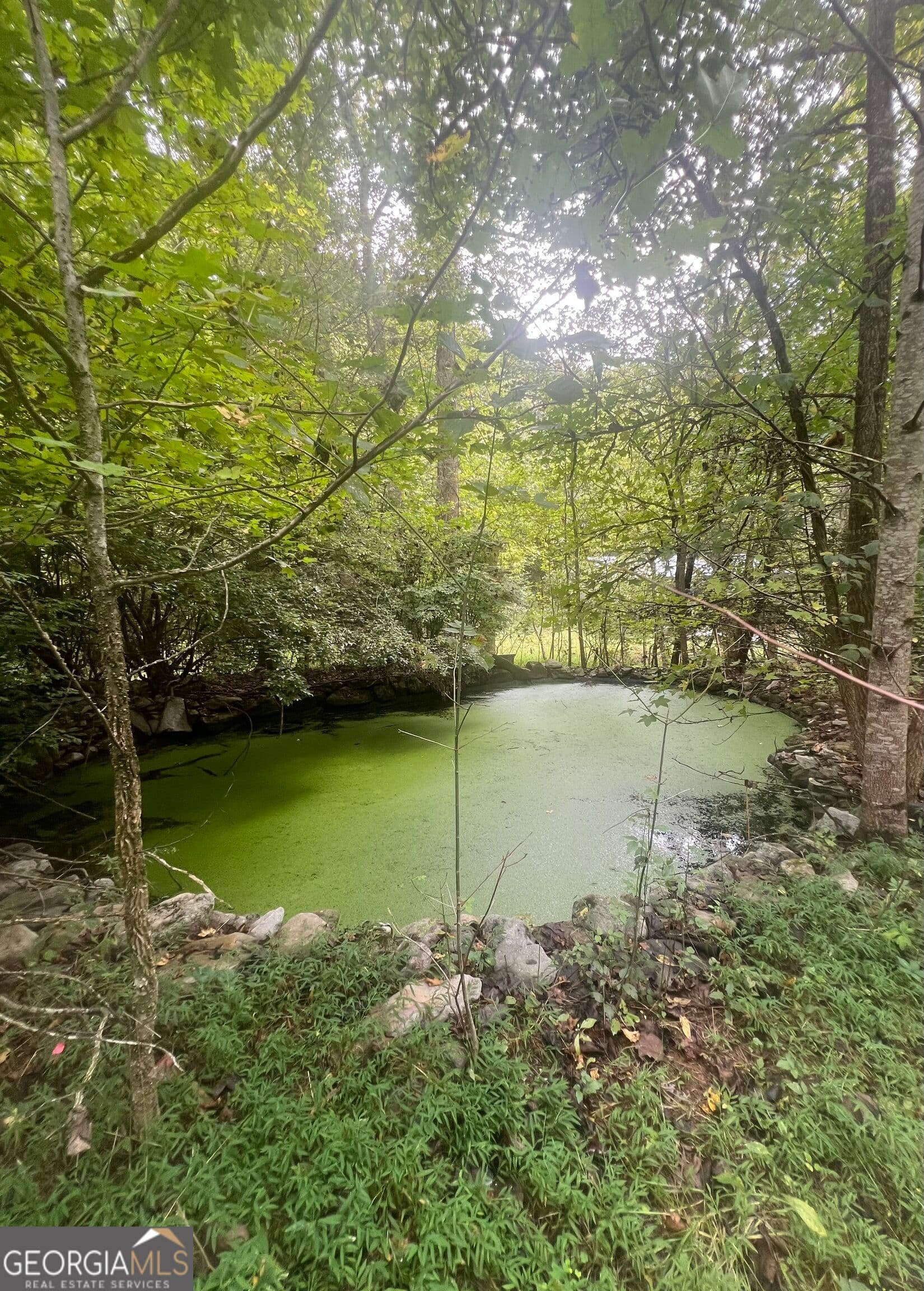 3 bedroom, 2 bathroom, 1,288 sq ft single family residence for sale at 14694 N Hwy 515, Ellijay, GA 30536 — photo 5