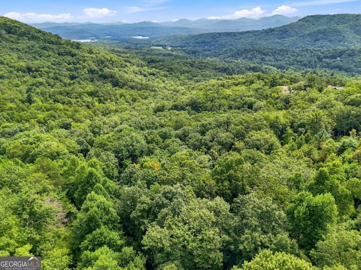 residential lot for sale at LT 27 Deer Crest Road 27, Blue Ridge, GA 30513 — photo 2