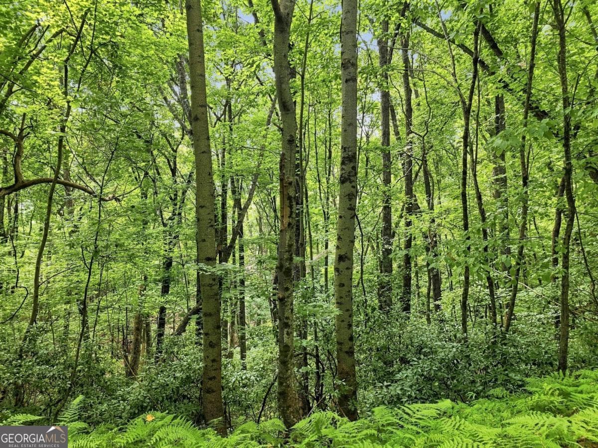 residential lot for sale at LT 27 Deer Crest Road 27, Blue Ridge, GA 30513 — photo 6