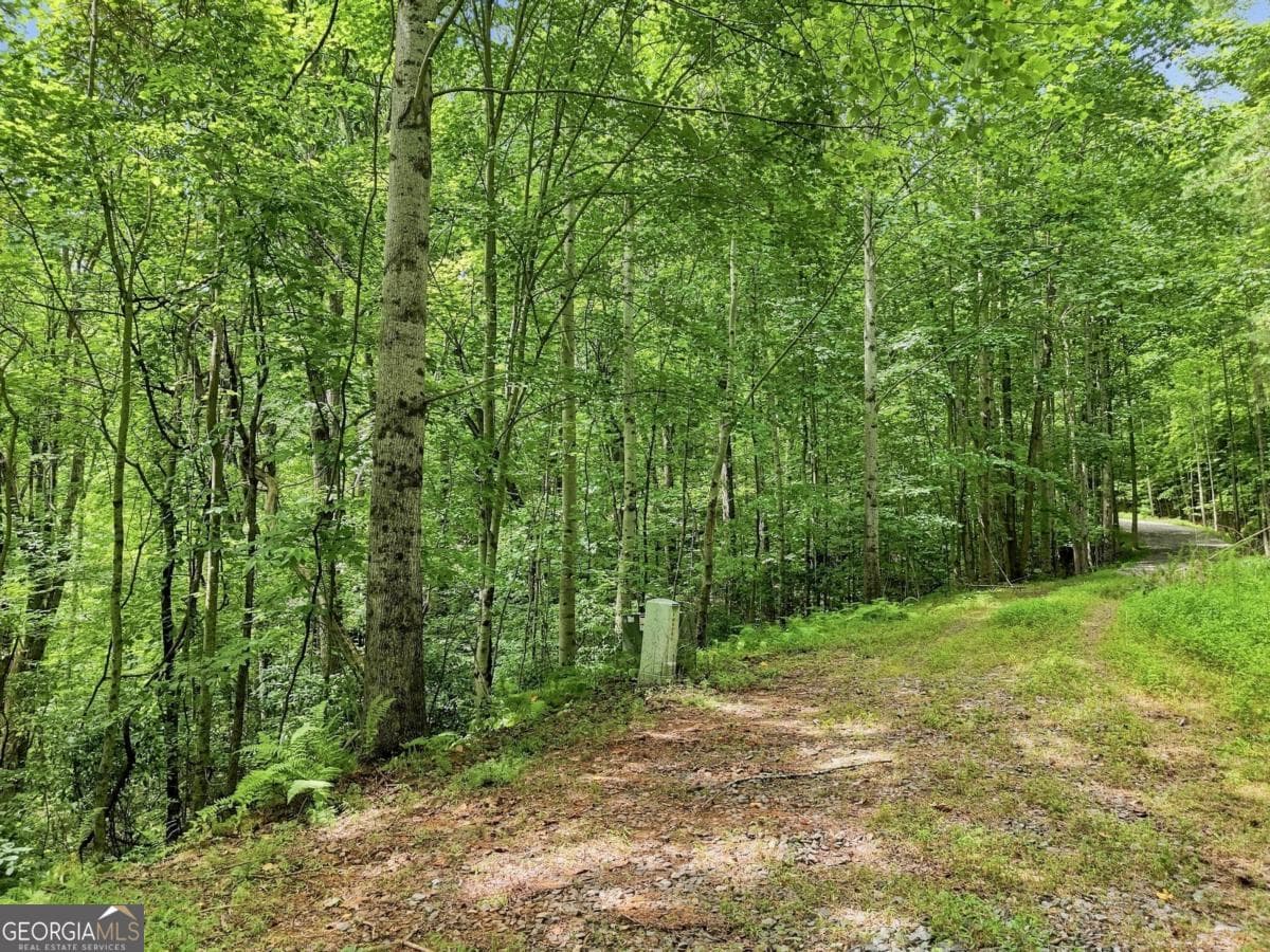 residential lot for sale at LT 27 Deer Crest Road 27, Blue Ridge, GA 30513 — photo 7
