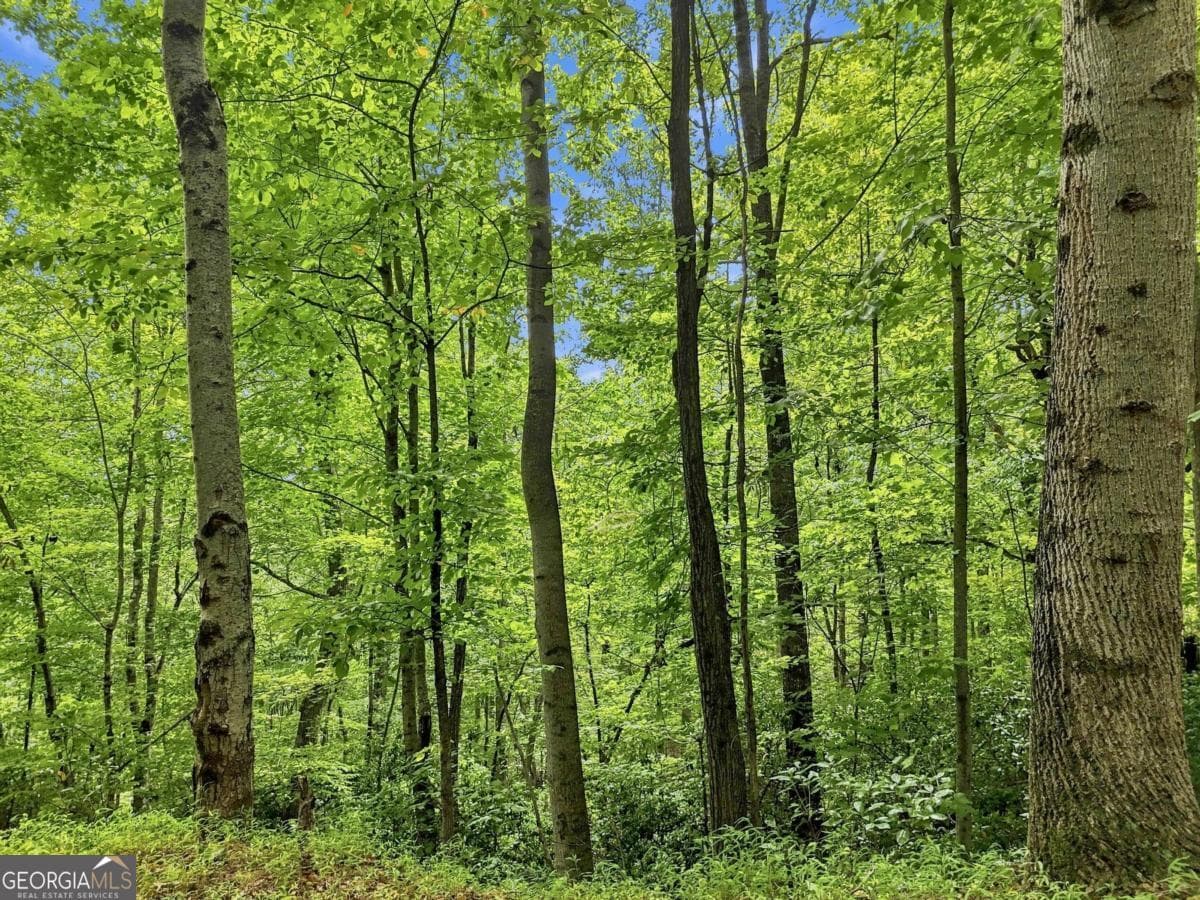 residential lot for sale at LT 27 Deer Crest Road 27, Blue Ridge, GA 30513 — photo 3