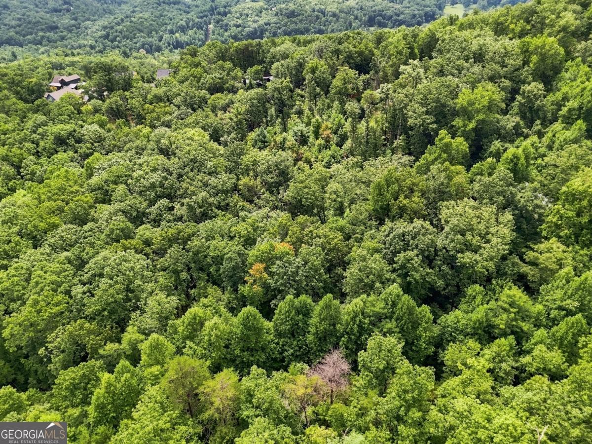 residential lot for sale at LT 27 Deer Crest Road 27, Blue Ridge, GA 30513 — photo 5