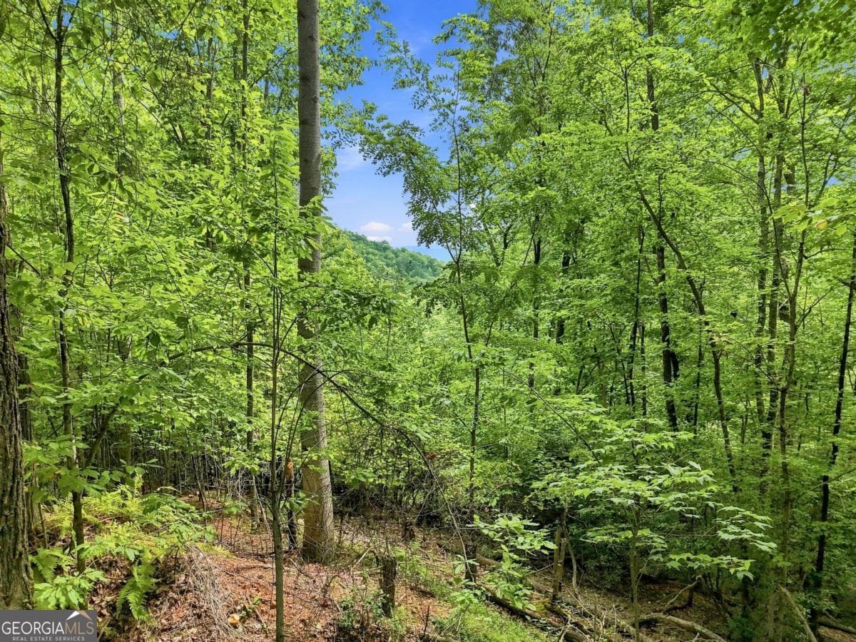 residential lot for sale at LT 27 Deer Crest Road 27, Blue Ridge, GA 30513 — photo 9