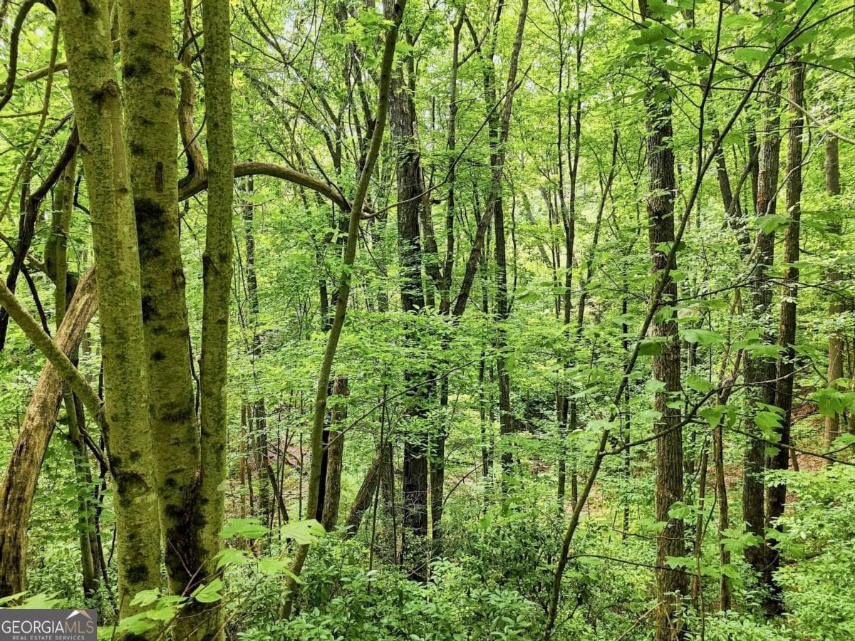 residential lot for sale at LT 27 Deer Crest Road 27, Blue Ridge, GA 30513 — photo 10